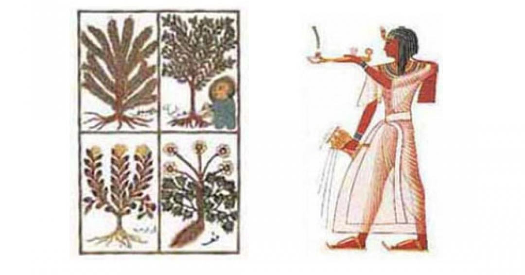 نخستین شیمیدان و عطر ساز نخستین شیمیدان و عطر ساز