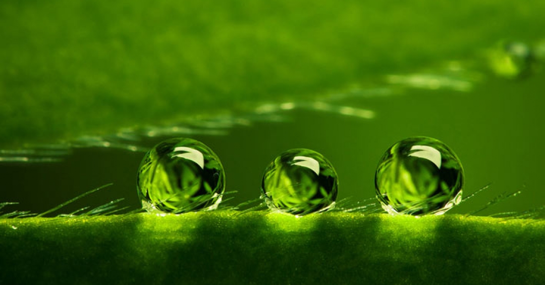 رایحه آروماتیک رایحه آروماتیک