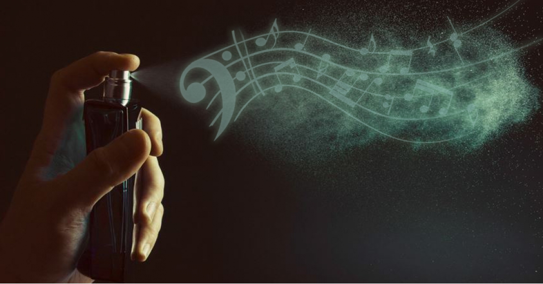 تاثیر حواس پنج گانه در تبلیغات تاثیر حواس پنج گانه در تبلیغات