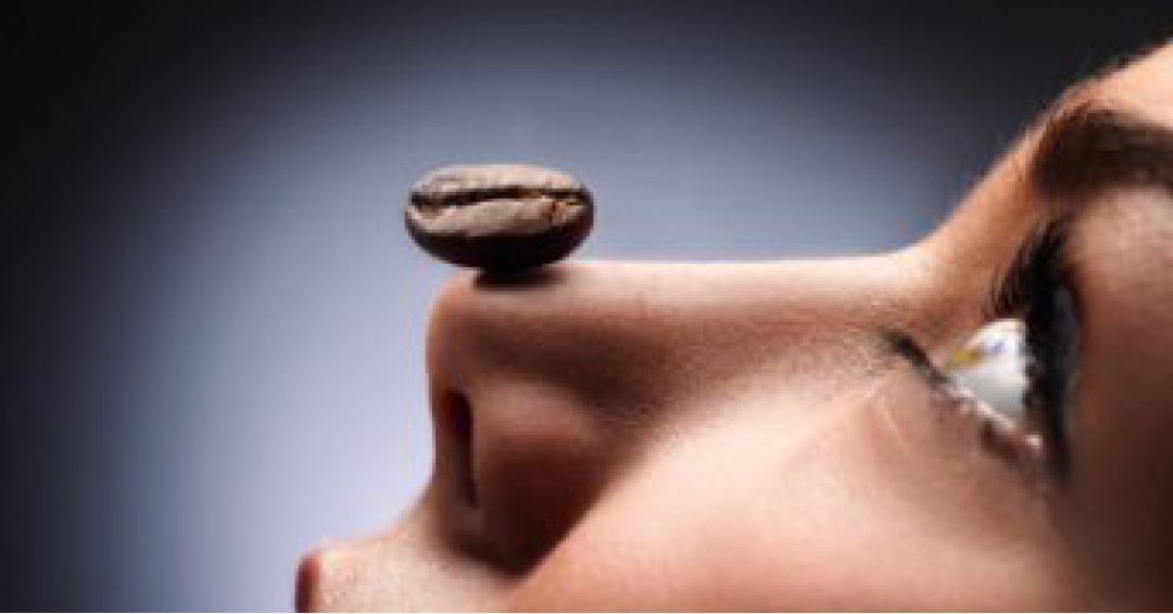 مزایای بازاریابی رایحه برای تجارت شما مزایای بازاریابی رایحه برای تجارت شما