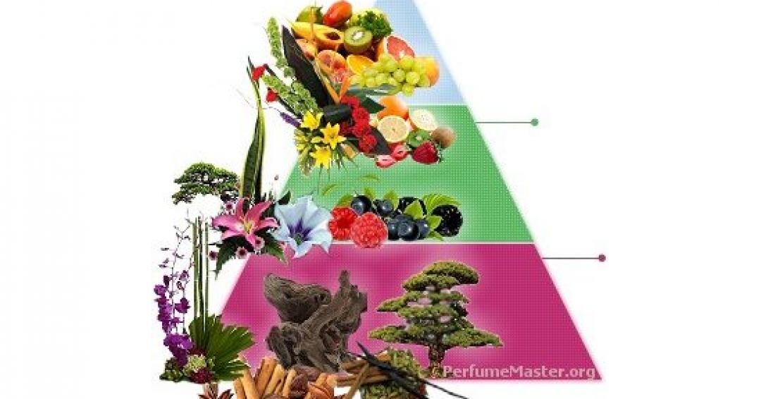 نت های گیاهی در صنعت عطر نت های گیاهی در صنعت عطر