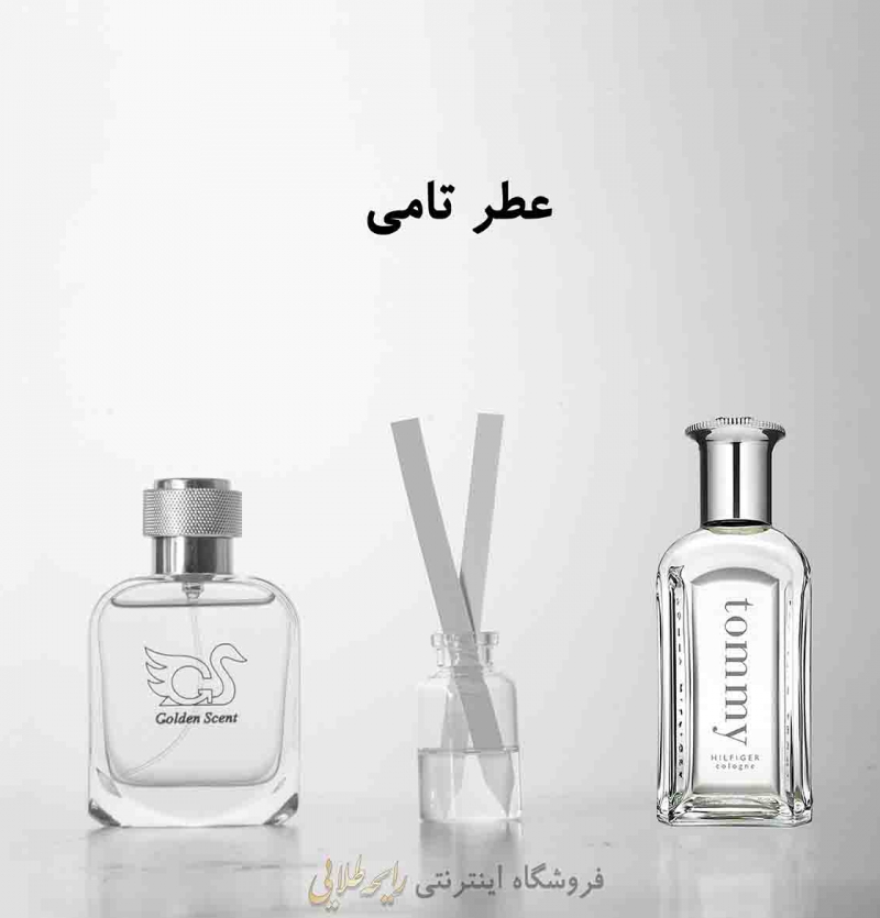 عطر تامی تامی هیلفیگر (پرفیوم)