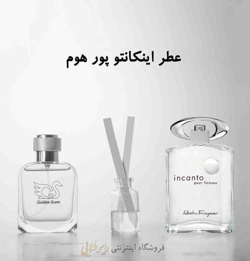 عطر اینکانتو پور هوم سالواتوره فراگامو (پرفیوم)